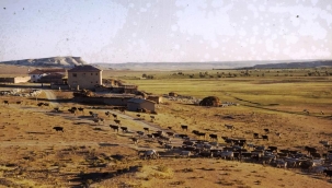 Unutmak, kabullenmektir...