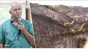 Yanan ormanlara çam yerine zeytin dikin"