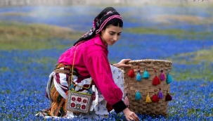 YARDIMCI OLABİLECEK BAZI SOSYAL KURALLAR