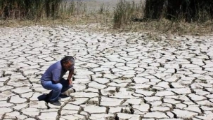 60 YILDA MARMARA DENİZİNDEN BÜYÜK SULAK ALANI YOK ETTİK