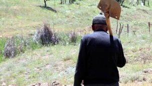 90 YAŞINDAKİ OSMAN DEDE, 35 YILDA 40.000 FİDANI TOPRAKLA BULUŞTURDU