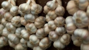 97 yıllık efsane...