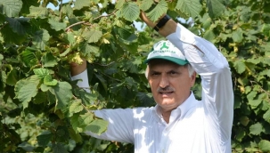 AK Parti Milletvekili Cemal Öztürk: ''Fındık'a 30 Lira İsteyeceğiz''