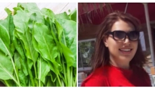 Bahçelerinizde bulunan kuzu kulağı otu ne işe yarar? 