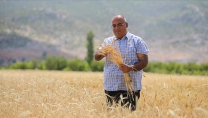 BANKACILIĞI BIRAKTI, ATALIK BUĞDAY TOHUMLARININ EKİMİNİ YAPIYOR 