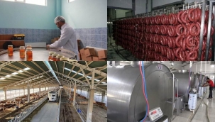 BİNGÖL'E 34 MİLYONLUK TARIM YATIRIMI