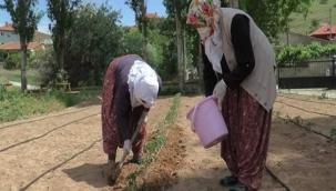 ÇİFTÇİ KADINLAR YENİ PROJELERLE ÜRETMEYE DEVAM EDİYOR