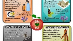 DOĞAL BÖCEK KOVUCU TARİFLER