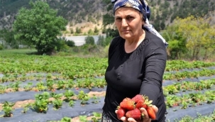 EŞİNE DESTEK OLMAK İÇİN BAŞLADI, KÖYLÜ KADINLARA ÖRNEK OLUYOR