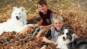 Evcil hayvan sahiplenmenin faydalarını biliyor musunuz?