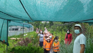 FATSA ŞEHİT ŞÜKÜR BAĞDATLI ANAOKULU ÇİFTÇİ EĞİTİM VE ÜRETİM MERKEZİNDE