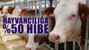 Hayvancılığa % 50 hibe desteği resmi gazetede yayınlandı...