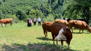 Hayvancılık sektörü keskin viraja girdi 