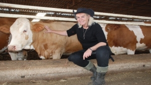 Hosteslikten hayvancılığa geçiş yaptı