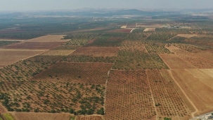 Hükümetten Kırsal Kalkınma Hamlesi: Çiftçi İçin Yeni Proje Geliyor