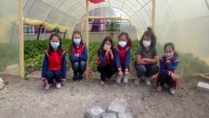 İLKOKULDA "YERLİ TOHUM" EĞİTİMLERİ BAŞLADI