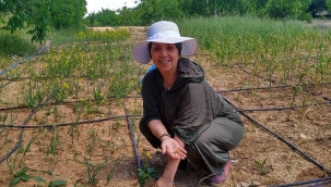 İstanbul'dan bir köye dönüş hikayesi... 