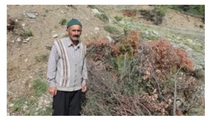 Kendini doğaya adayarak iki yılda 200 yabani meyveyi aşıladı