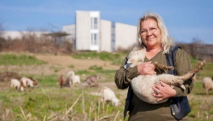 KURDA KUŞA AŞ DİYE BAŞLADI, ATA TOHUMLARININ BANKASINI KURDU