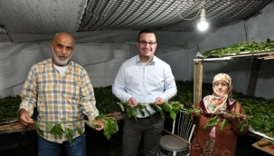 Mustafakemalpaşa'da İpekböceği Yetiştiren Üreticiye 4 Bin TL Gelir