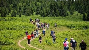 Nefes almamızın ormanlarla ilişki var mı?