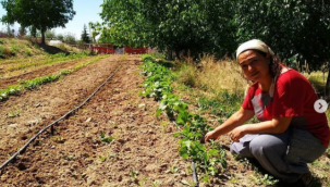 Nuray Öğretmen'in İstanbul'dan köye dönüş hikayesi