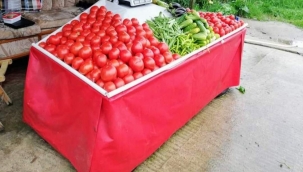 Pembe domates, Anadolu'nun yerli ürünleri arasında yer alıyor.