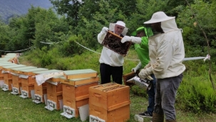 Sakarya Belediye Başkanı Yüce, Oğul Arı Üretim Tesisinde