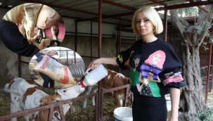 SPİKERLİĞİ BIRAKTI, BESİCİLİK YAPMAYA BAŞLADI