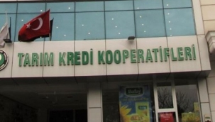 Tarım Kredi Kooperatifi nedir, ne işe yarar?