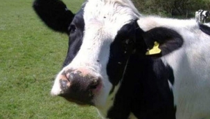 TARIMDAKİ BU POLİTİKASIZLIK DA BİR POLİTİKADIR