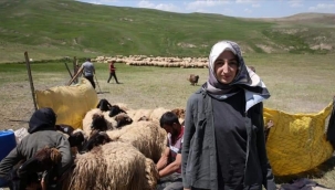 TEZİ İÇİN BİR YIL GÖÇERLERLE YAŞAYAN DOKTORA ÖĞRENCİSİ , ALAN TARAMASINI TAMAMLADI 