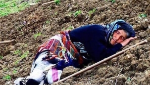 TOPRAK; Hepimizin anası...