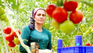 TOPRAKSIZ TARIM KADINLARA İŞ KAPISI OLDU