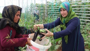 TÜRK VE SURİYELİ KADINLAR KURDUKLARI KOOPERATİFLE GÜÇLERİNİ BİRLEŞTİRDİ 