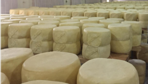 Türkiye'de peynir üretiminde Kars önemli bir yere sahip