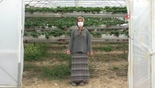 YILIN MİKRO GİRİŞİMCİSİ SİNOPLU ALİME