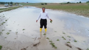 Yozgat'ta sel ekili tarım alanlarına zarar verdi