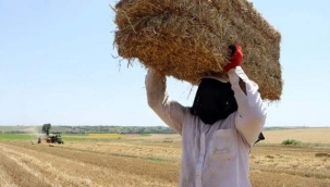 BALYA İŞÇİLERİNİN ZORLU EKMEK MÜCADELESİ 