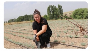 Bankacılığı bırakıp ölmez otu yetiştirmeye başladı: Tanesini 1 liradan satıyor