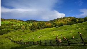 EİB, Döngüsel Katma Değer Akımı ile Tarım İhracatını 5,5 Milyar Dolara Çıkaracak