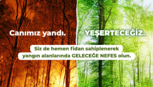 Haydi siz de ücretsiz olarak fidan sahiplenin ya da bağış yapın