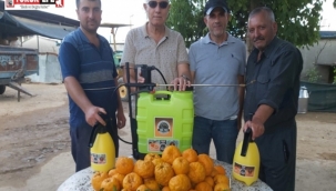 KİMSENİN KIYMETİNİ BİLMEDİĞİ TURUNÇ BİTKİSİNDEN DEZENFEKTAN ÜRETİLDİ