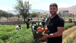OKUL BOSTAN'DA YETİŞTİRİLEN SEBZELER , DAR GELİRLİ AİLELERE DAĞITILDI