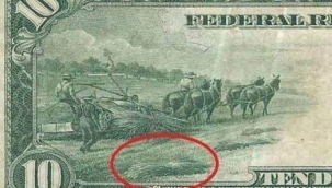 Tarım ilaçları ile zehirlenme ve kanser arttı... 