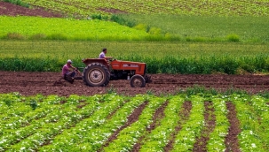 TARIMSAL DESTEK ÖDEMELERİ BUGÜN BAŞLIYOR