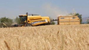 TMO'dan uluslararası ihale