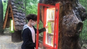 TÜRKİYE'NİN İLK, AVRUPA'NIN EN BÜYÜK DOĞAL YAŞAM PARKI ORMANYA'DA "ORMAN KÜTÜPHANESİ" OLUŞTURULDU