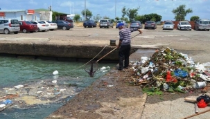 Üstüne başına bakınca insana benziyorsun ama ne yazık ki değilsin !!...
