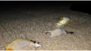 Yıllardır söylemekten bıkmadık : KİMYASAL ÖLDÜRÜR